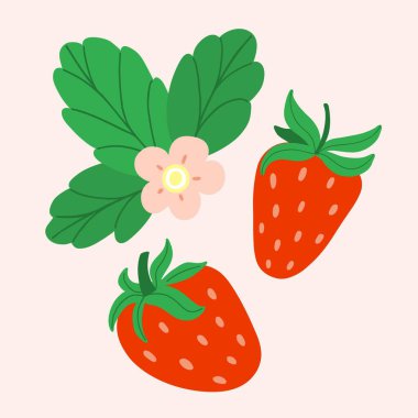 Çilek seti. Elle çizilmiş taze orman ya da bahçe çileği posteri ya da kart. Sulu böğürtlenler, yeşil yapraklar ve çiçekler yaz elementini karalar, vektör çizgi filmi minimalist izole çizimler