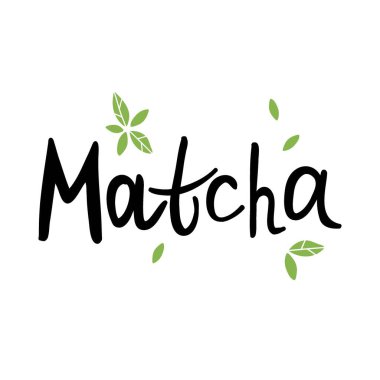 Matcha. Hand drawn lettering, traditional japanese drink, chinese green tea and text, trendy organic delicious beverage, vector cartoon isolated illustration
