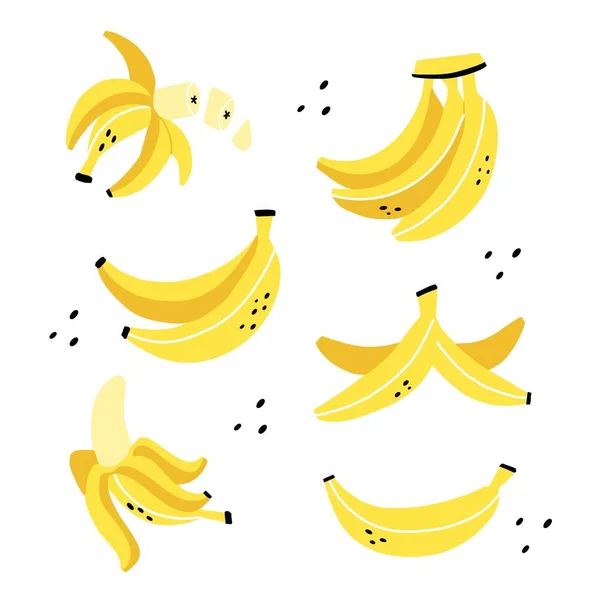 Банановый Набор Экзотические Тропические Свежие Фрукты Цельные Нарезанные Банановая Кожура — стоковый вектор