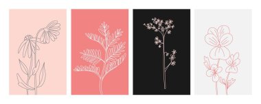 Çiçek asgari poster takımı. El çizimi yabani çiçekler ve yapraklar. Bitki ve çayır bitkisi koleksiyonu, modern duvar resmi dekoru. Vektör botanik illüstrasyon pembe, siyah, gri