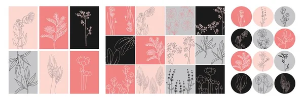 Floral Minimal Social Media Set Hand Drawn Line Wild Flower — Stock Vector