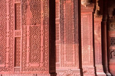 Geometrik desen ve Kızıl Kale 'deki kumtaşı oymasının dekoratif ayrıntıları. Agra, UNESCO Dünya Mirası.
