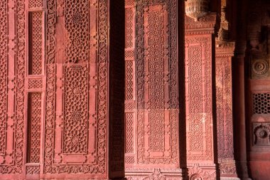 Geometrik desen ve Kızıl Kale 'deki kumtaşı oymasının dekoratif ayrıntıları. Agra, UNESCO Dünya Mirası.