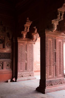 AGRA, Hindistan - 15 Şubat 2018: Hindistan 'ın Agra kentindeki UNESCO Dünya Mirasları Alanının Tac Mahal manzarası. Tac Mahal dünya çapında popüler bir aşk sembolüdür.