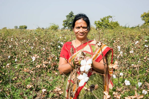 Mulher Indiana Campo Algodão Maharashtra Índia — Fotografia de Stock