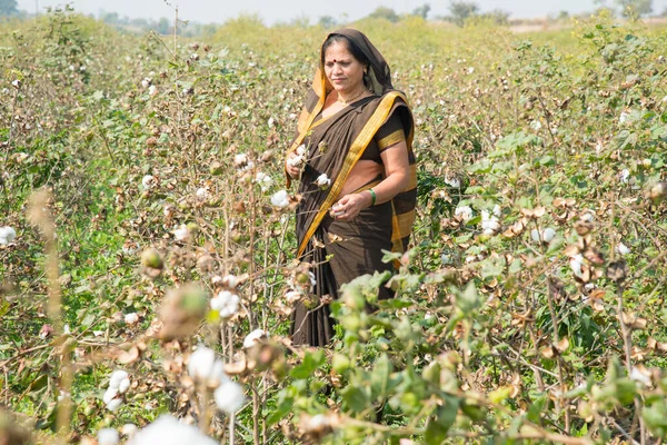 Indiase Vrouw Een Katoenveld Maharashtra India — Stockfoto