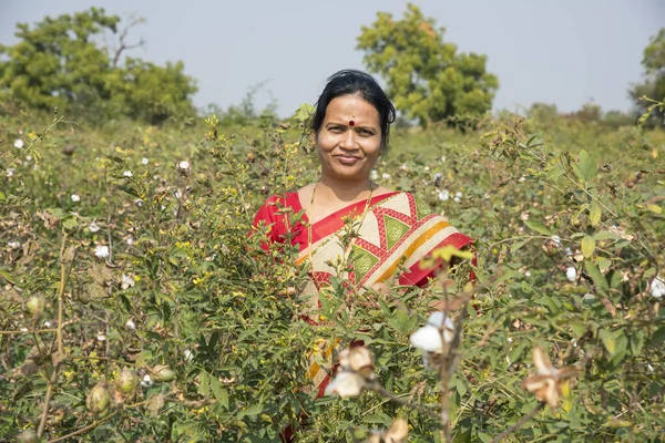 Mulher Indiana Campo Algodão Maharashtra Índia — Fotografia de Stock