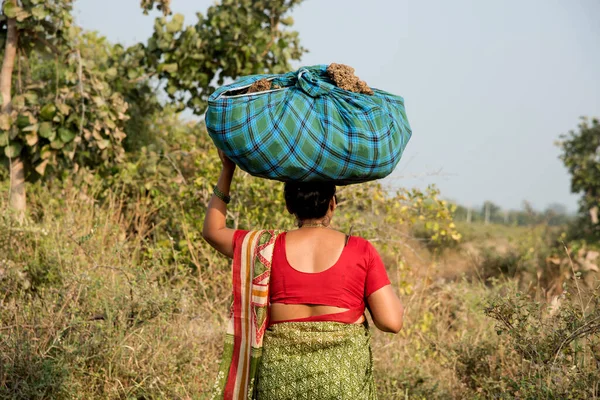 Mulheres Indianas Rurais Carregam Carga Sua Cabeça — Fotografia de Stock