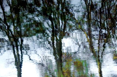 Taze yeşil yaprak arkaplan, soyut doğal arkaplan