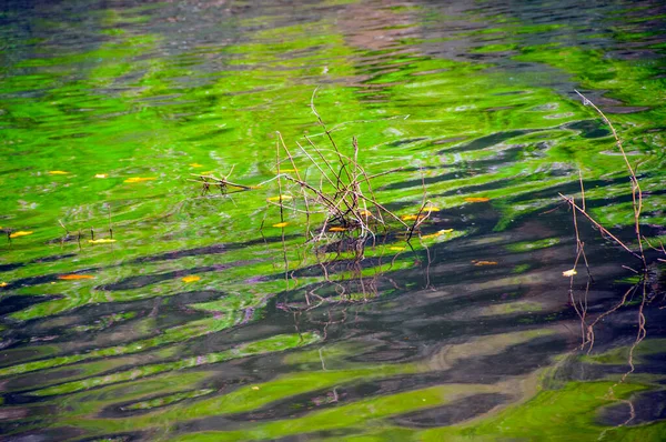 Reflexion Auf Dem Wasser Hintergrund — Stockfoto