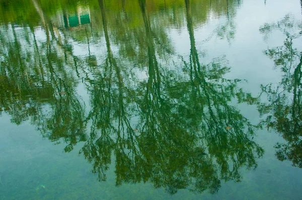 Fundo Folha Verde Fresco Fundo Natural Abstrato — Fotografia de Stock