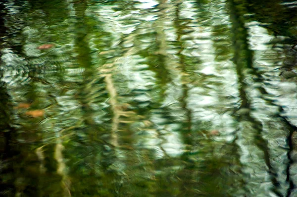 Fresco Sfondo Foglia Verde Astratto Sfondo Naturale — Foto Stock