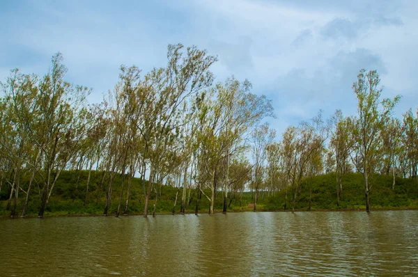 stock image Landscape of lake in the morning.