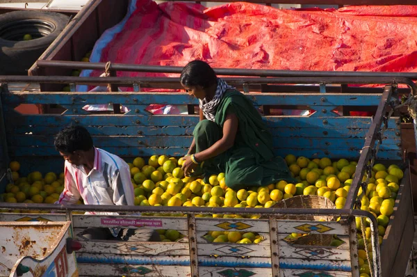 NAGPUR, MAHARASHTRA, INDIA 3 Aralık 2014: Kimliği belirsiz bir işçi Nagpur, Maharashtra, Nagpur 'daki toptan sebze pazarında portakal sınıflandırıyor.