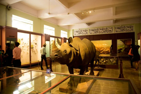 Museu Príncipe Gales Agora Comumente Conhecido Como Chhatrapati Shivaji Maharaj — Fotografia de Stock