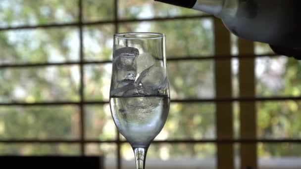 Giet Het Schot Wodka Uit Een Fles Glas — Stockvideo