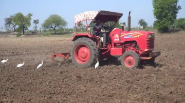 NASHIK, MAHARASHTRA, INDIA 8 HAZİRAN 2020: Kimliği belirsiz traktörlü çiftçi traktör ekimi için arazi hazırlıyor.