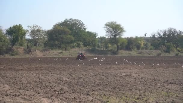 Nashik Maharashtra India Junio 2020 Agricultor Identificado Con Tractor Preparando — Vídeos de Stock