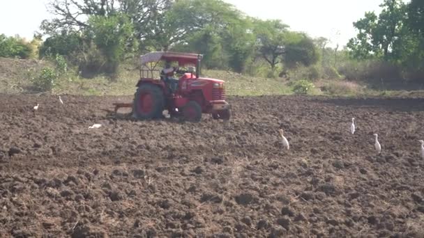 Nashik Maharashtra India Junio 2020 Agricultor Identificado Con Tractor Preparando — Vídeo de stock