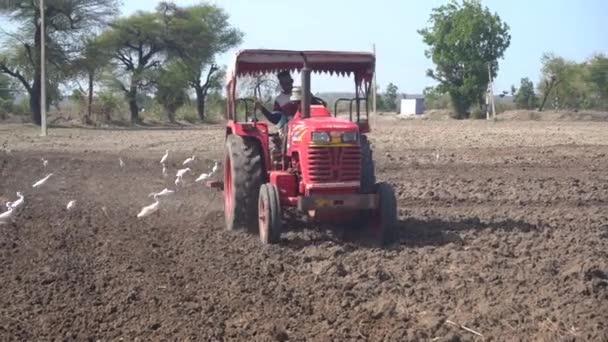 Nashik Maharashtra India June 2020 Unidentified Farmer Tractor Preparing Land — Stock Video