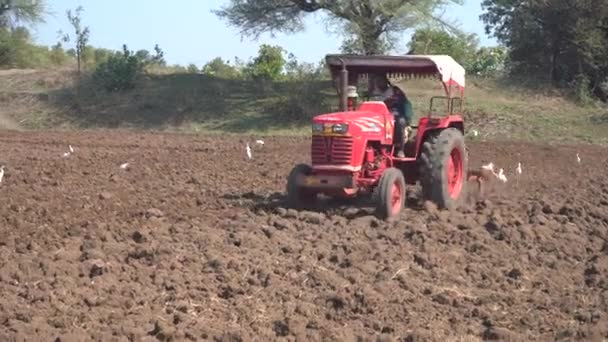 Nashik Maharashtra Indien Juni 2020 Unbekannter Bauer Mit Traktor Bereitet — Stockvideo