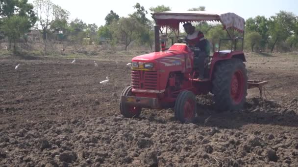 Nashik Maharashtra India June 2020 Неизвестный Фермер Трактором Готовит Землю — стоковое видео