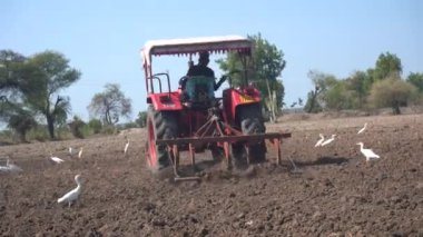 NASHIK, MAHARASHTRA, INDIA 8 HAZİRAN 2020: Kimliği belirsiz traktörlü çiftçi traktör ekimi için arazi hazırlıyor.