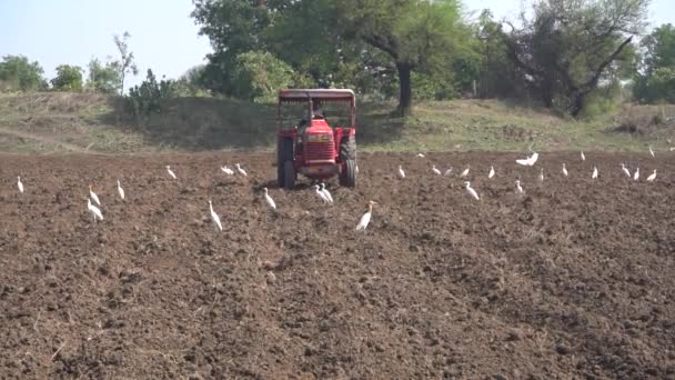 Nashik Maharashtra India Junio 2020 Agricultor Identificado Con Tractor Preparando — Vídeo de stock