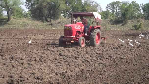 Nashik Maharashtra India Junio 2020 Agricultor Identificado Con Tractor Preparando — Vídeos de Stock