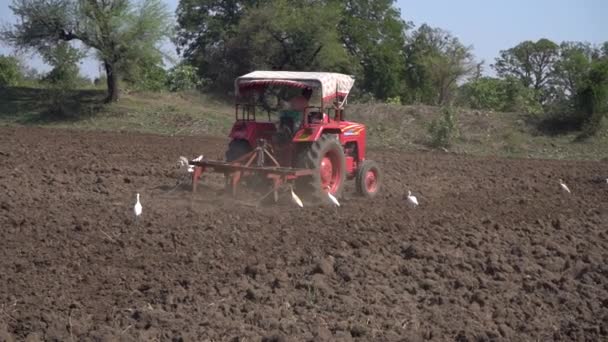 Nashik Maharashtra India Junio 2020 Agricultor Identificado Con Tractor Preparando — Vídeos de Stock