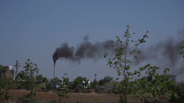 工業工場の汚染 煙が排気管をスタック — ストック動画