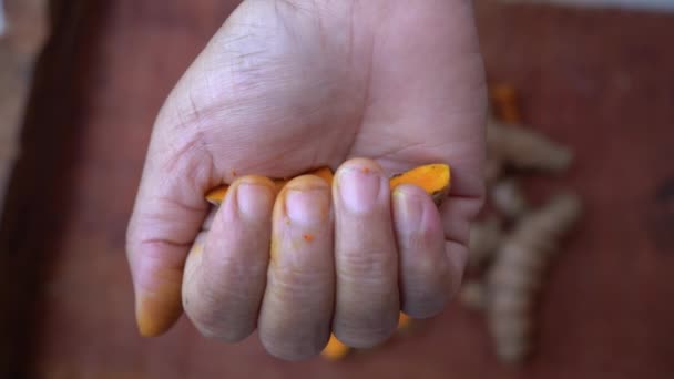 Primo Piano Della Mano Della Donna Con Curcuma — Video Stock