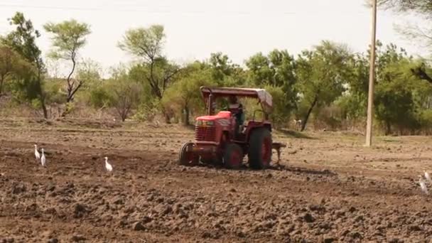 Nashik マハラシュトラ州 インド2020年6月8日 トラクターと耕運機で播種するための土地を準備するトラクターの未確認農家 インドの農業シーン — ストック動画