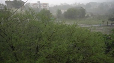 Güçlü rüzgar, esen rüzgar, yağmur fırtınası, ağaçları sallayan fırtına..