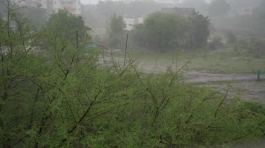 Güçlü rüzgar, esen rüzgar, yağmur fırtınası, ağaçları sallayan fırtına..