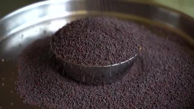 Hardal tohumlarını kapat / Rai veya kahverengi hardal tohumlarını.