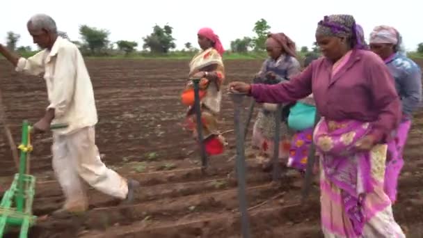 Akola Maharashtra India Hazi Ran 2020 Çiftçiler Geleneksel Yollarla Tarlaya — Stok video