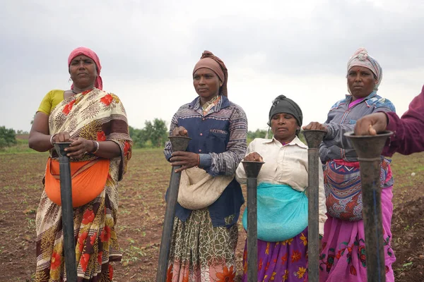 AKOLA, MAHARASHTRA, INDIA 23 HAZİRAN 2020: Öküzlerle çalışan çiftçi, tarlada çalışmak için öküz kullanan çiftçi, Hint tarım sahnesi