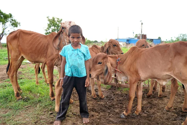 Amravati Maharashtra India Červen 2020 Venkovští Obyvatelé Rebarijské Komunity Stáje — Stock fotografie