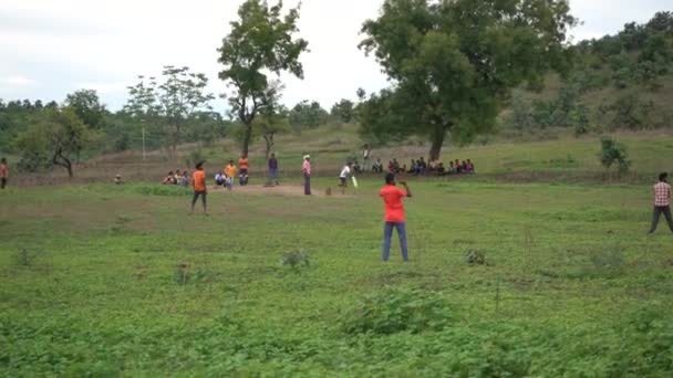 农村儿童在地里打板球 — 图库视频影像