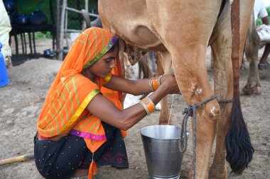 AMRAVATI, MAHARASHTRA, INDIA 27 HAZİRAN 2020: Kulübesinde Rebari cemaatinden bir kadının portresi. Rebariler, Rajasthan eyaletinde yaşayan göçebe bir kabilelerdir..