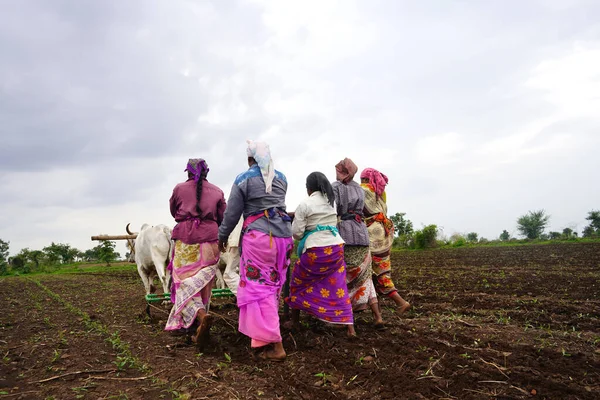 Akola Maharashtra India Juni 2020 Jordbrukarna Sår Sojabönsfrön Fält Traditionellt — Stockfoto