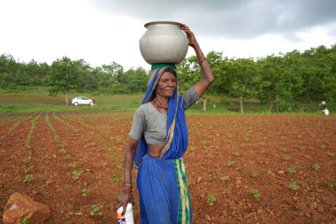 CHIKHALDARA, MAHARASHTRA, INDIA 29 HAZİRAN 2020: Tanımlanamayan kırsal Hintli kadınlar Maharashtra 'nın kırsal kesimlerinde geleneksel çömleklerde su taşıyorlar.