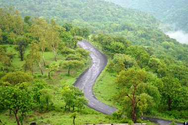 Yeşil Dağ Ormanı, Yeşil Ağaç Ormanı.