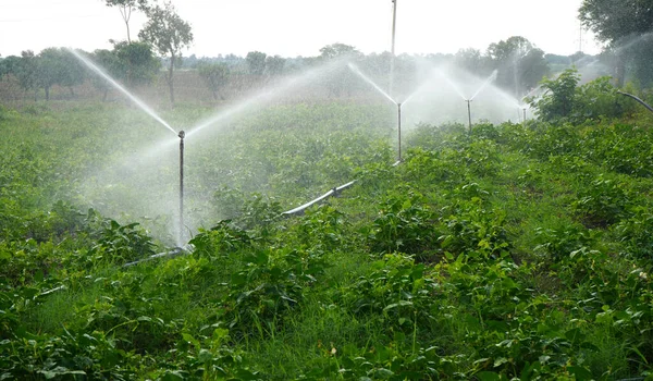 Sprinklers Automatic Sprinkler Irrigation System Watering Farm Maharashtra India — 图库照片