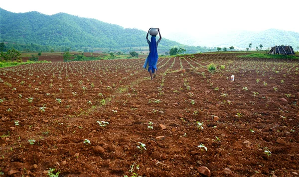 Chikhalthdara Maharashtra India June 2020 확인되지 인도의 마하라슈트라주의 지역에서 생활에서 — 스톡 사진