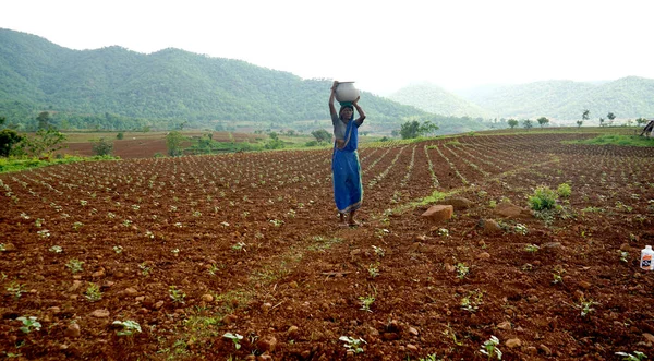 Chikhaldara Maharashtra India June 2020 확인되지 농부가 농장에서 일하는 — 스톡 사진