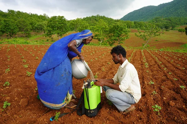 Chikhaldara Maharashtra India Červen 2020 Neznámý Indický Zemědělec Pracující Polní — Stock fotografie