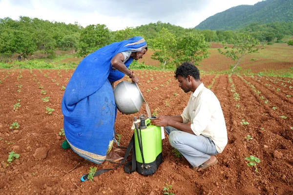 Chikhaldara Maharashtra India Červen 2020 Neznámý Indický Zemědělec Pracující Polní — Stock fotografie