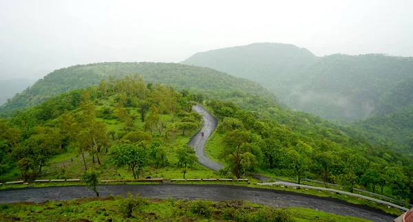 Grüner Bergwald Grüner Baumwald Hintergrund — Stockfoto